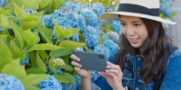 A woman photographs vibrant blue Tokyo hydrangeas along the stone steps of a traditional shrine in June.
