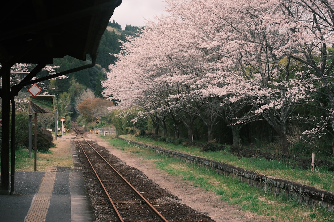 A traveler prepares for a nemophila day trip at a Tokyo train station platform, ready to depart for Hitachi Seaside Park