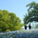 woman-walking-blue-flower-hill-unsplash - TOKYOwebzine A woman walks through the blue nemophila day trip destination at Miharashi Hill in Hitachi Seaside Park, Ibaraki, Japan