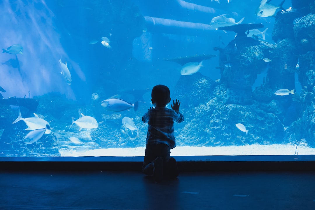 Two children reach into a touch pool at a Tokyo aquarium, exploring sea creatures