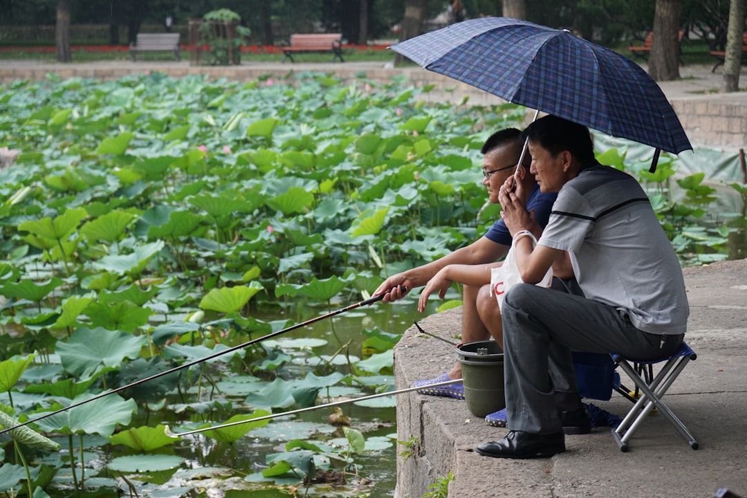 A couple walks beside the summer lotus pond in Ueno Park, part of Tokyo's historic shitamachi district