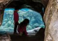 mother-child-watching-jellyfish-tank-unsplash - TOKYOwebzine A mother and young child press close to a glowing jellyfish exhibit at one of Tokyo's best Tokyo aquariums for children
