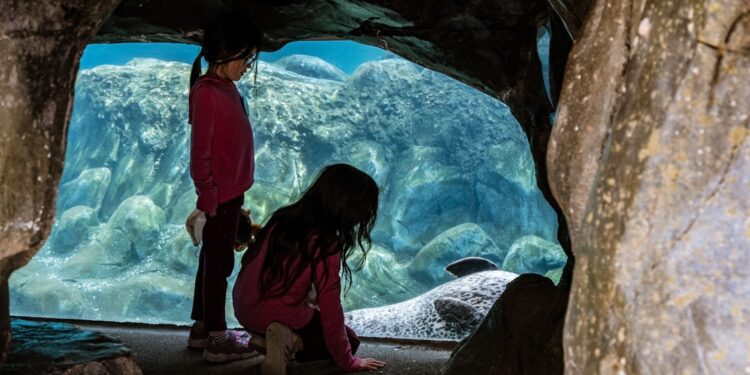 A mother and young child press close to a glowing jellyfish exhibit at one of Tokyo's best Tokyo aquariums for children