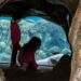 mother-child-watching-jellyfish-tank-unsplash - TOKYOwebzine A mother and young child press close to a glowing jellyfish exhibit at one of Tokyo's best Tokyo aquariums for children