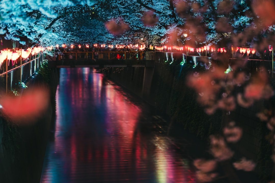A person releasing a glowing paper lantern onto a river during the Obon Tokyo toro nagashi ceremony at dusk