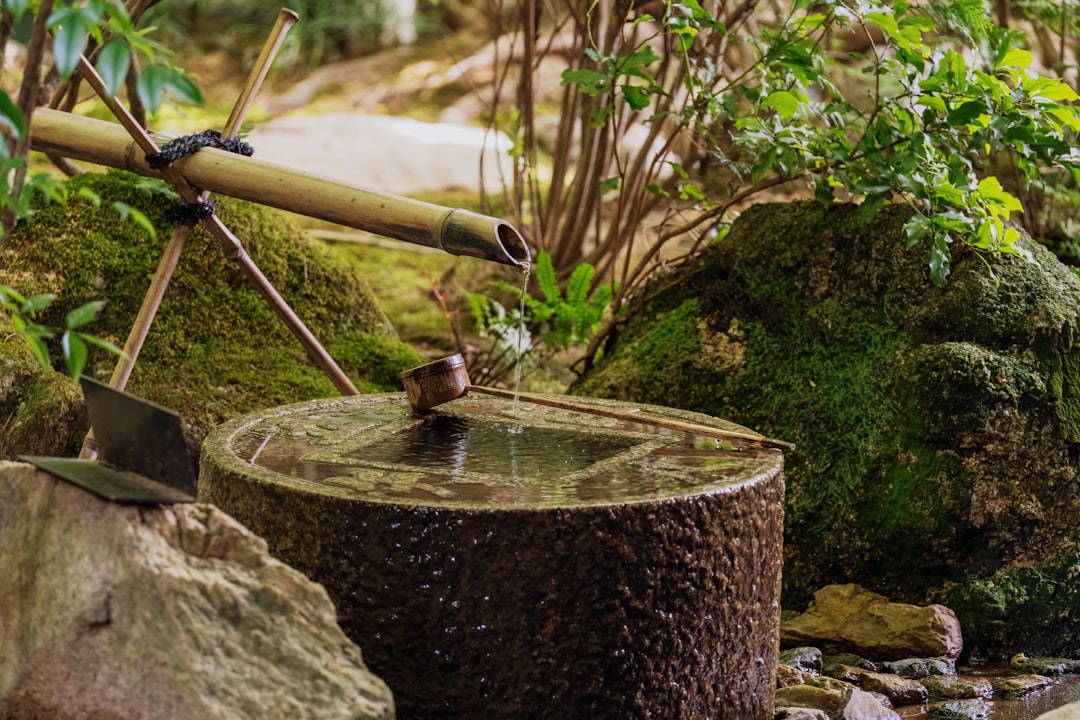 A woman soaking in a mineral bath surrounded by a Japanese garden, the essence of Tokyo wellness ritual