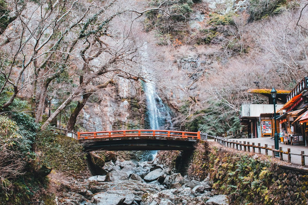 A visitor standing at the observation platform of Kegon Falls during a Nikko day trip from Tokyo