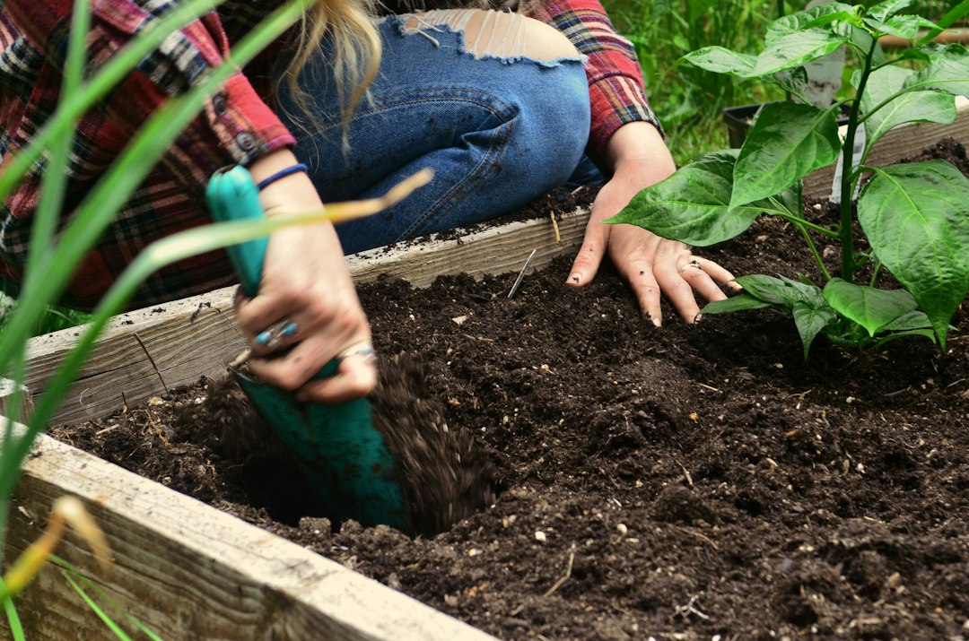 A gardener uses finished soil from a community composting program to tend plants on a Tokyo balcony