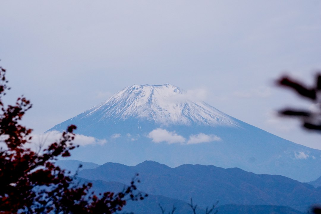Hiker on the Mount Takao trail, a popular Tokyo day trips route
